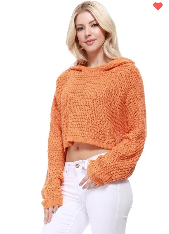 Summer Knit Cropped Crochet Knit Hoodie